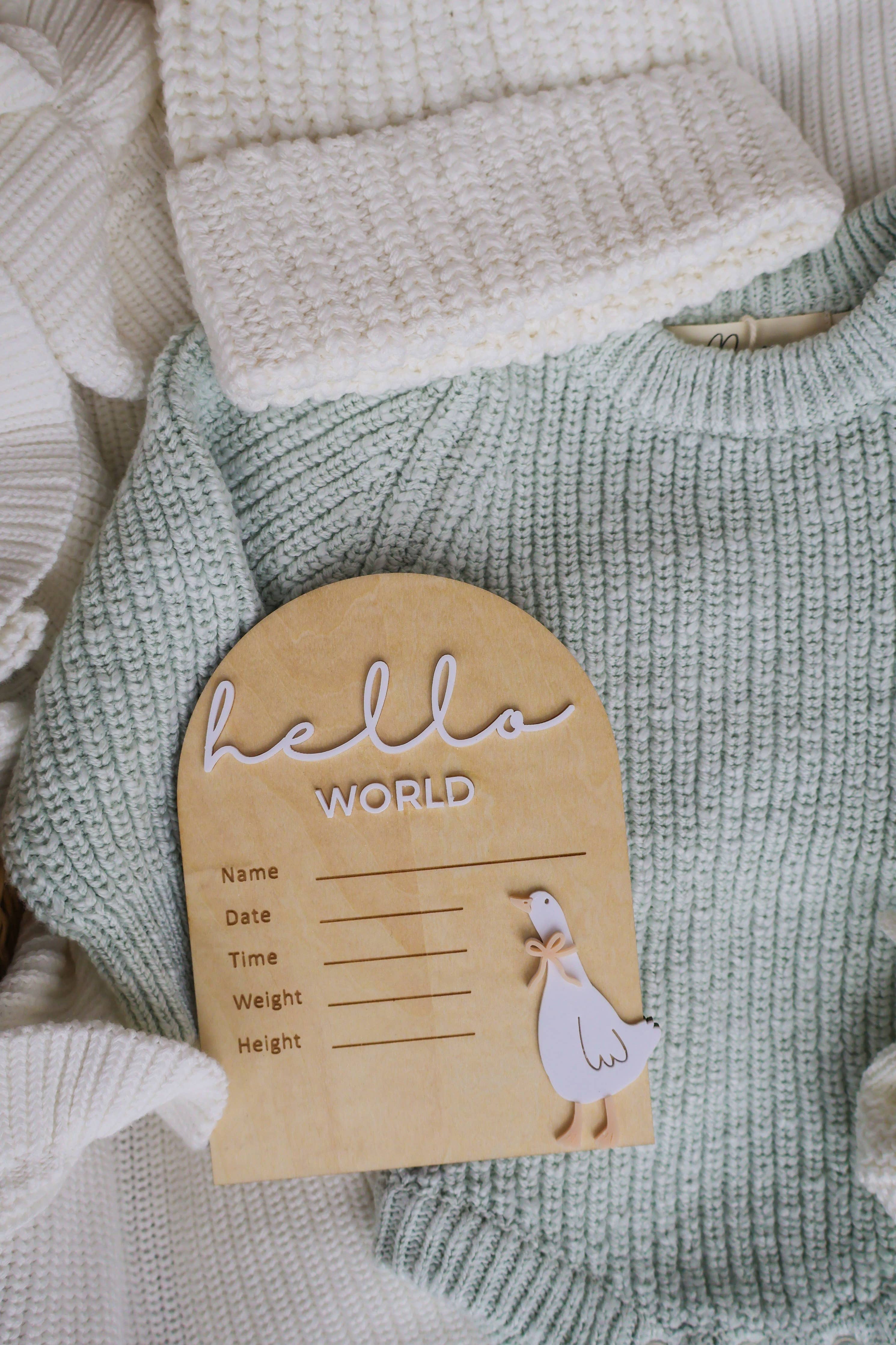 WELCOME BABY SIGN | HELLO WORLD | WRITEABLE | GOOSE