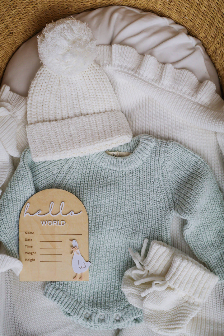 WELCOME BABY SIGN | HELLO WORLD | WRITEABLE | GOOSE